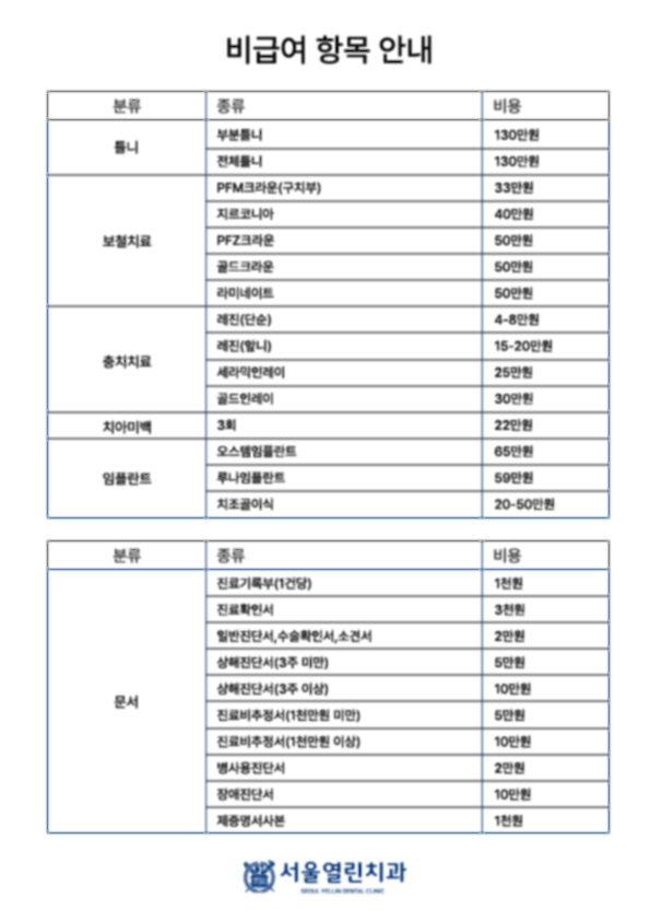 비급여항목